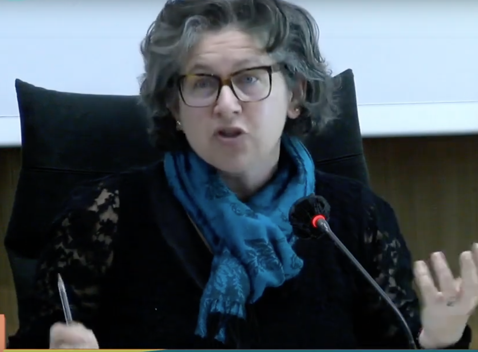 Io Adulto Domani. Il video integrale dell'incontro organizzato a Teramo